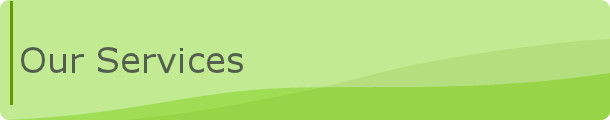 Our Services